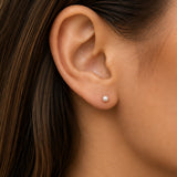 Pearl Stud Earrings